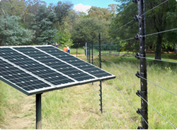 中國畜牧業電子圍欄解決方案先行者